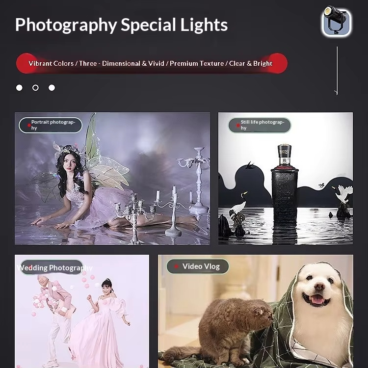 전문가용 500W AC 전원 LED 비디오 조명 SL5 - Photography Lighting For Food 리뷰 및 가격